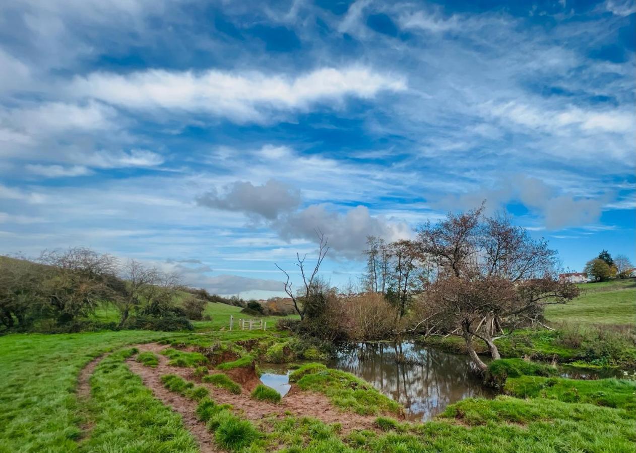 Dapps Hill Haven - Between Bristol And Bath, Both 9 Mins By Train! Keynsham Exterior photo